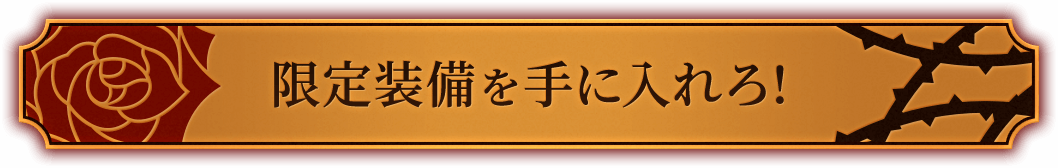 限定装備を手に入れろ!